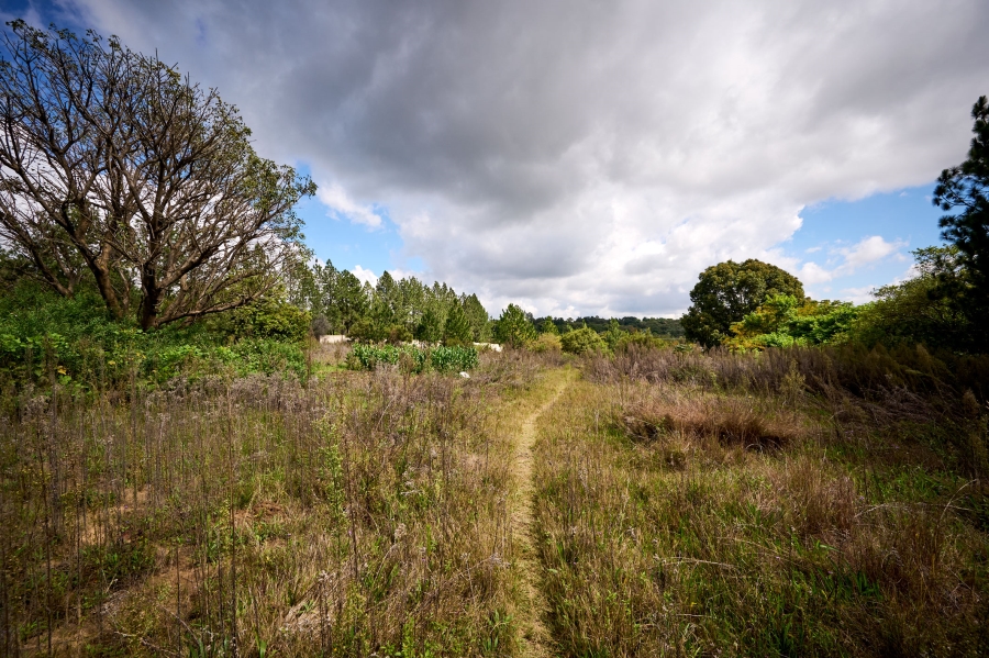 0 Bedroom Property for Sale in Crowthorne AH Gauteng