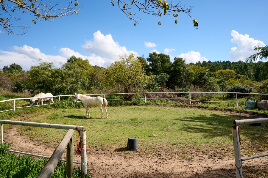 0 Bedroom Property for Sale in Blue Hills AH Gauteng