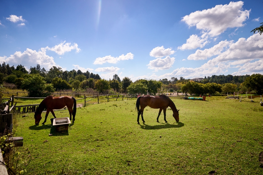 0 Bedroom Property for Sale in Blue Hills AH Gauteng