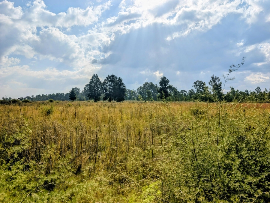 0 Bedroom Property for Sale in Blue Saddle Ranches Gauteng