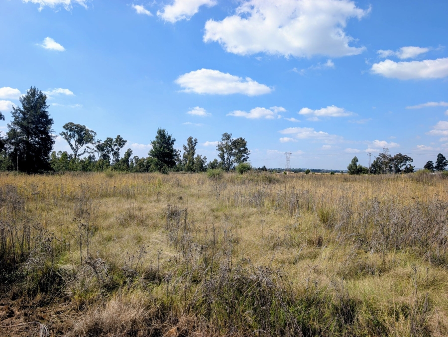 0 Bedroom Property for Sale in Blue Saddle Ranches Gauteng
