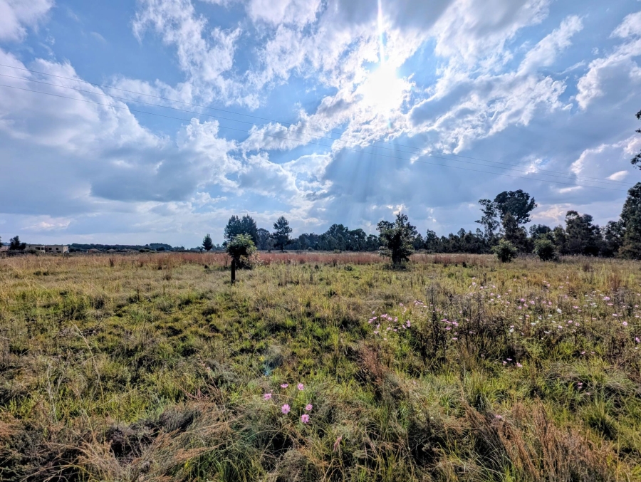 0 Bedroom Property for Sale in Blue Saddle Ranches Gauteng