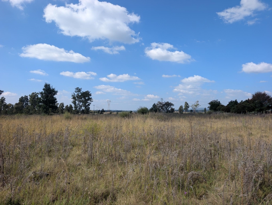 0 Bedroom Property for Sale in Blue Saddle Ranches Gauteng