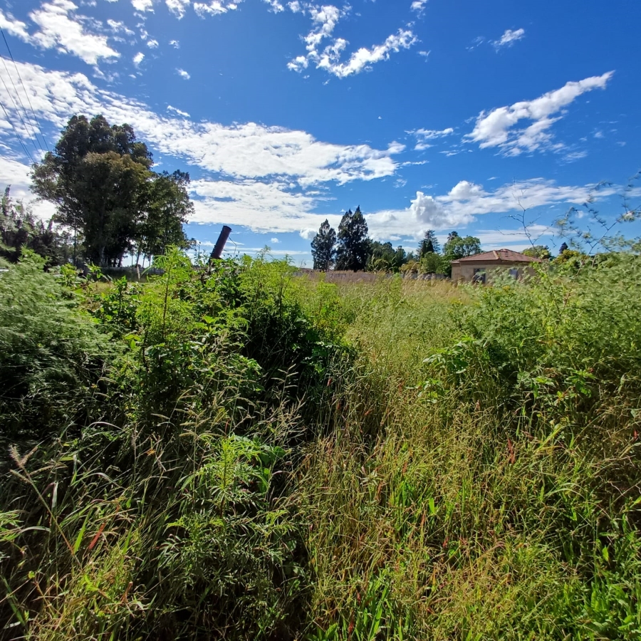 0 Bedroom Property for Sale in Riversdale Gauteng