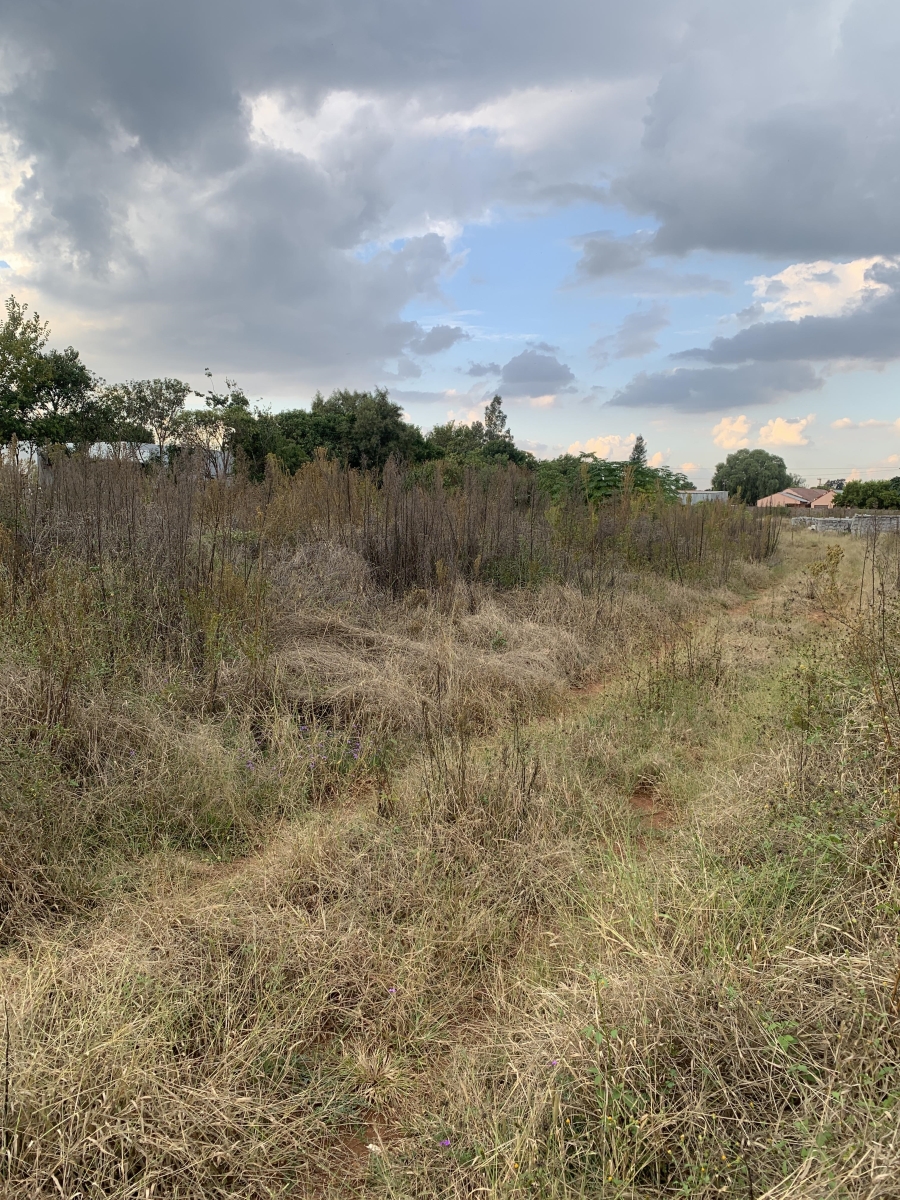 0 Bedroom Property for Sale in Henley on Klip Gauteng