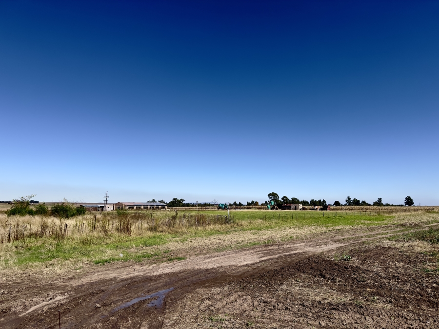 0 Bedroom Property for Sale in Devon Gauteng