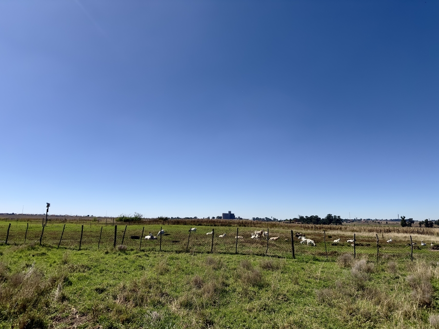 0 Bedroom Property for Sale in Devon Gauteng