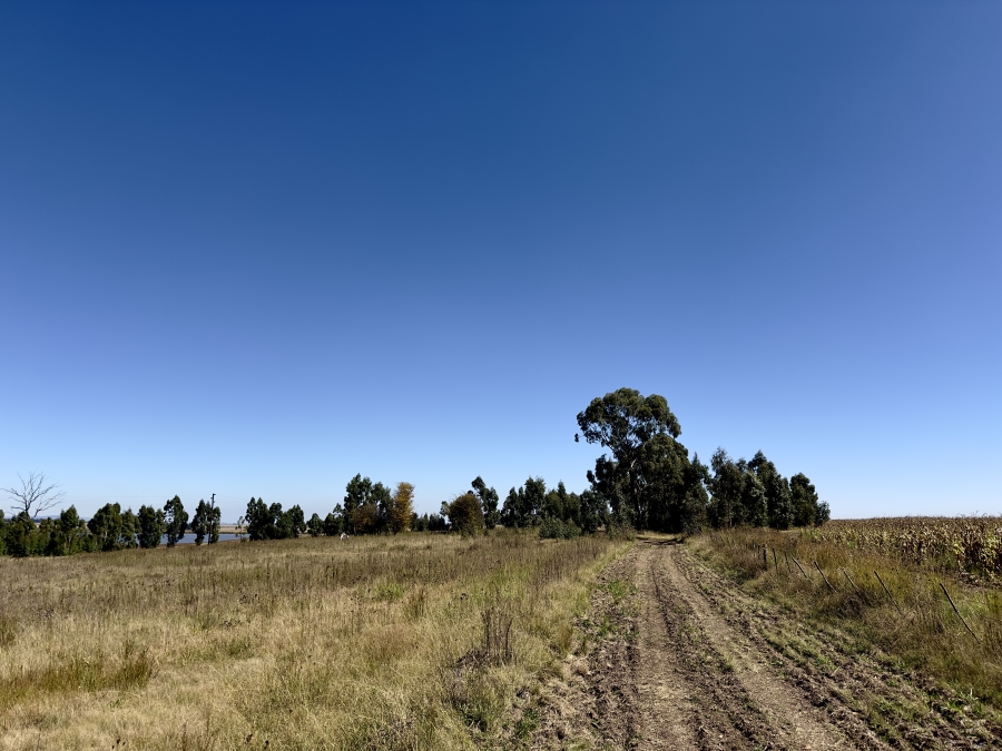 0 Bedroom Property for Sale in Devon Gauteng