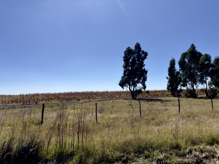 0 Bedroom Property for Sale in Devon Gauteng