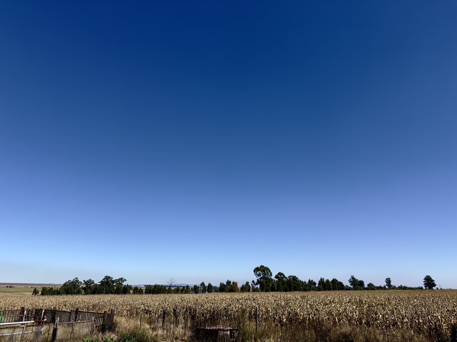 0 Bedroom Property for Sale in Devon Gauteng