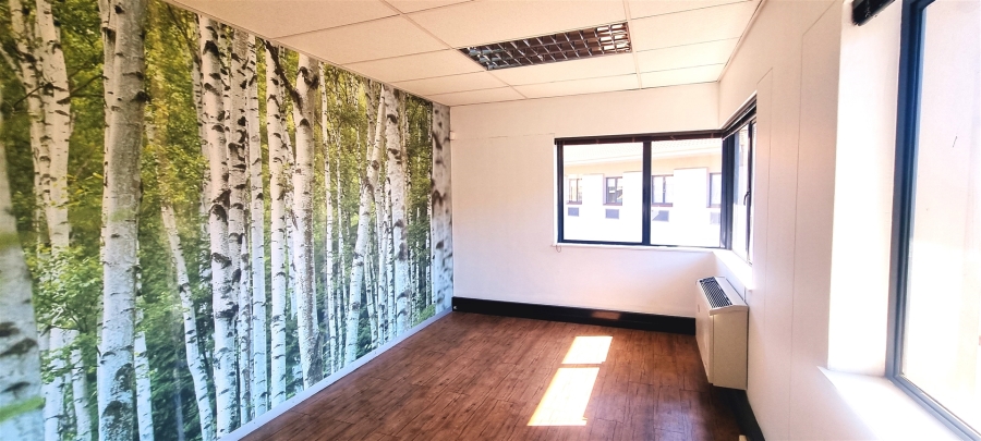 To Let Commercial Property for Rent in Bryanston Gauteng