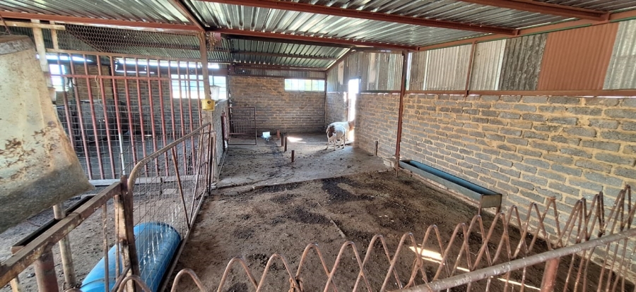 3 Bedroom Property for Sale in Buyscelia Gauteng