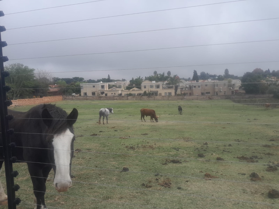 2 Bedroom Property for Sale in Randpark Ridge Gauteng