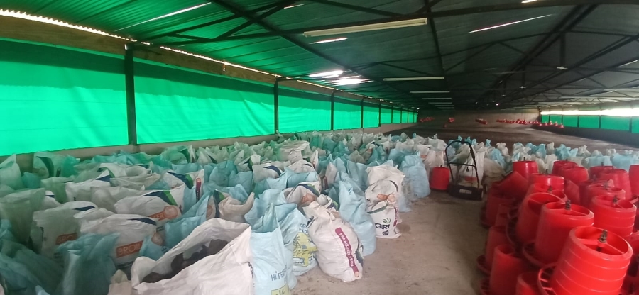 To Let Commercial Property for Rent in Nelsonia Gauteng