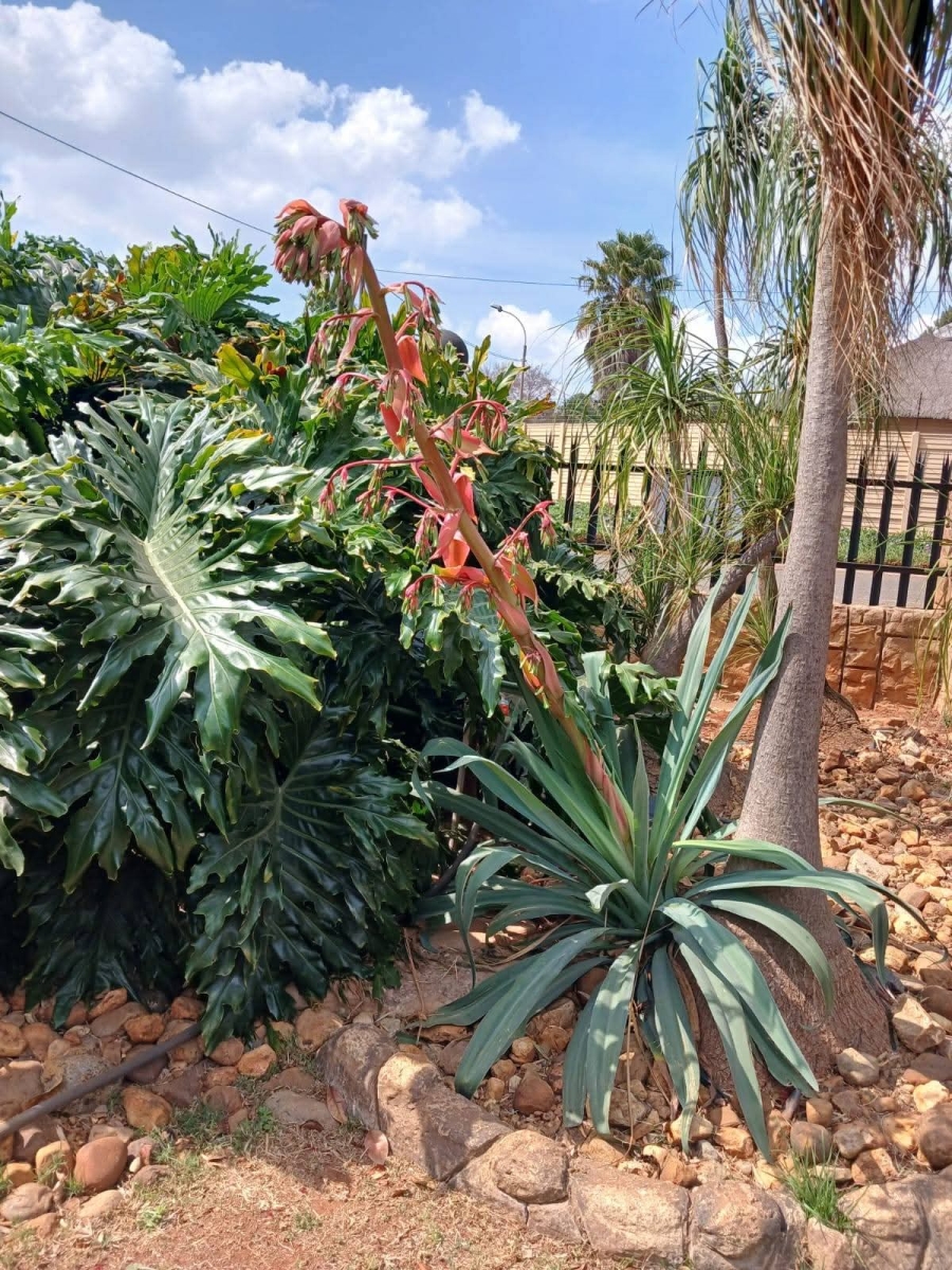 3 Bedroom Property for Sale in Greenhills Gauteng