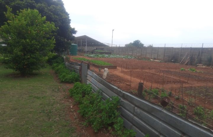 3 Bedroom Property for Sale in Welgedacht Gauteng