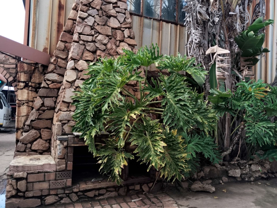 6 Bedroom Property for Sale in Andeon AH Gauteng