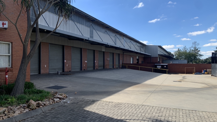 To Let Commercial Property for Rent in Longmeadow Gauteng
