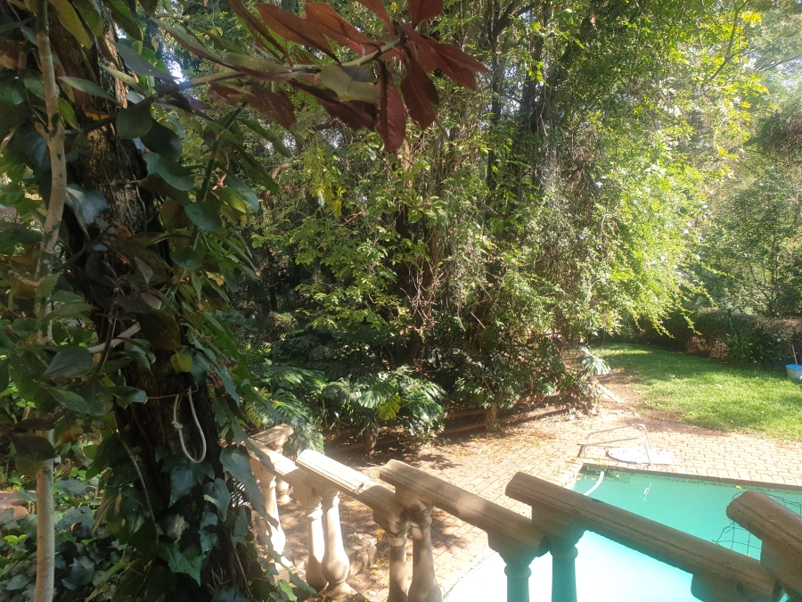 To Let 1 Bedroom Property for Rent in Waterkloof Ridge Gauteng