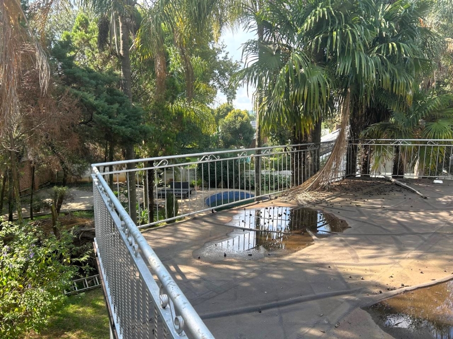 To Let 5 Bedroom Property for Rent in Menlo Park Gauteng