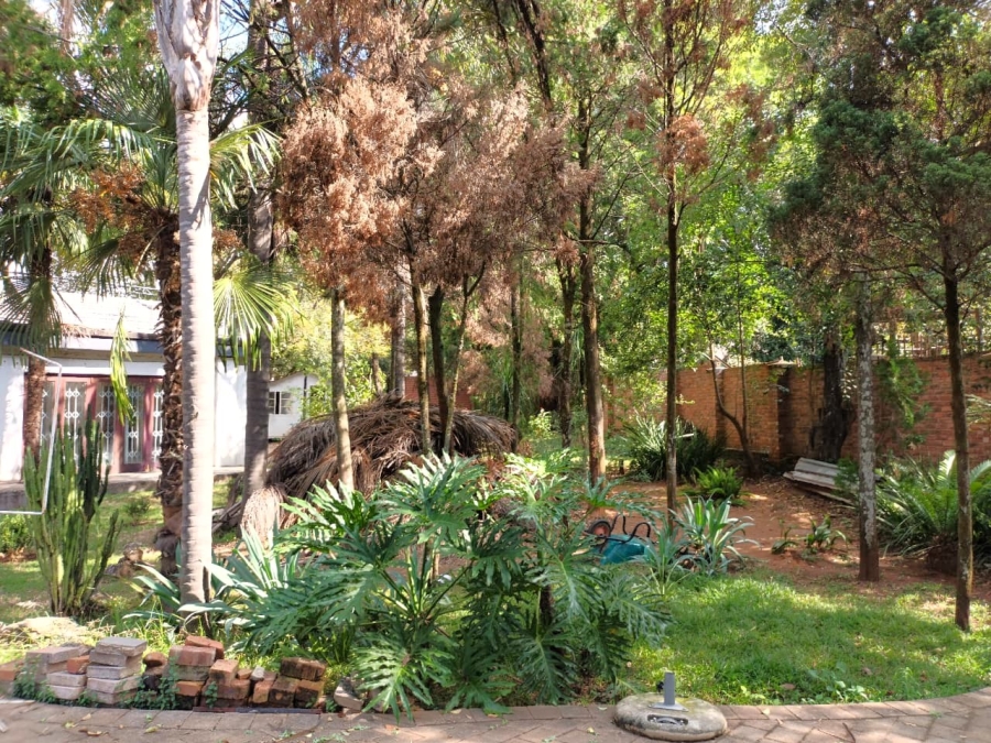 To Let 5 Bedroom Property for Rent in Menlo Park Gauteng