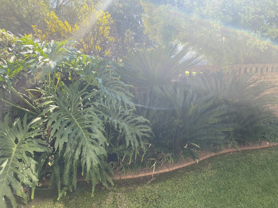 3 Bedroom Property for Sale in Benoni Central Gauteng