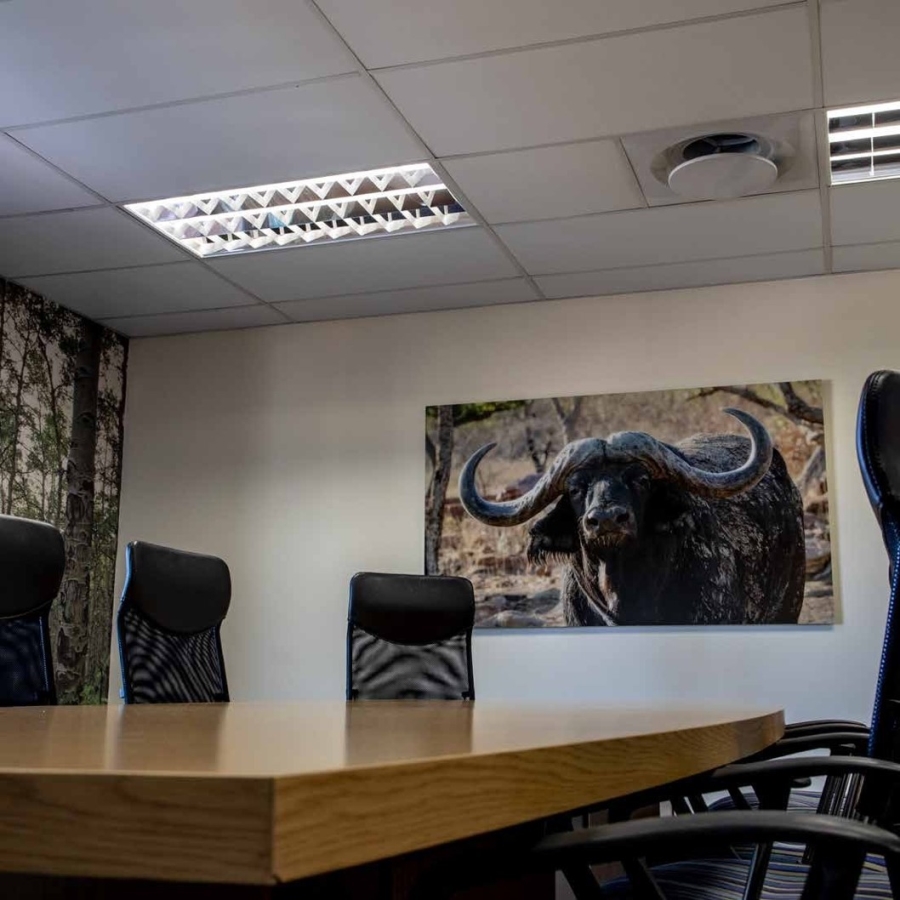 To Let Commercial Property for Rent in Highveld Technopark Gauteng