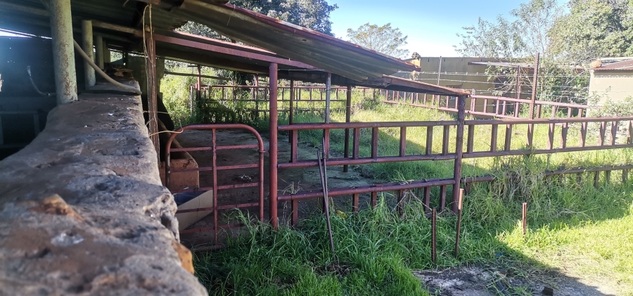 12 Bedroom Property for Sale in Magaliesburg Gauteng