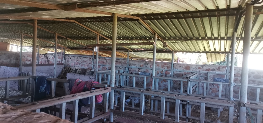 12 Bedroom Property for Sale in Magaliesburg Gauteng