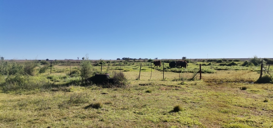 12 Bedroom Property for Sale in Magaliesburg Gauteng