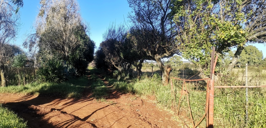 12 Bedroom Property for Sale in Magaliesburg Gauteng