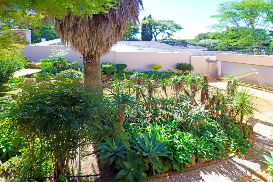 To Let Commercial Property for Rent in Victory Park Gauteng