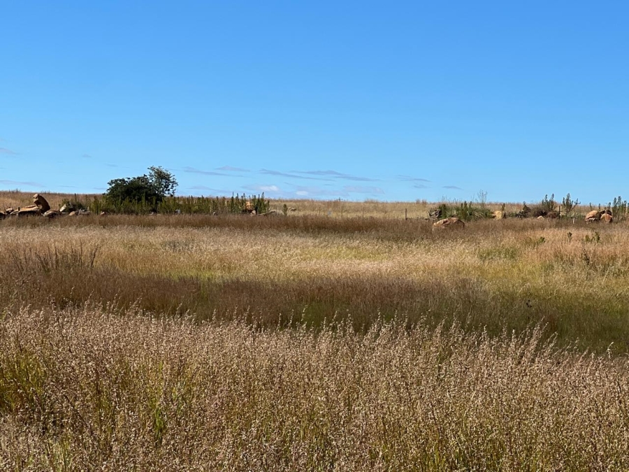0 Bedroom Property for Sale in Vaal Marina Gauteng