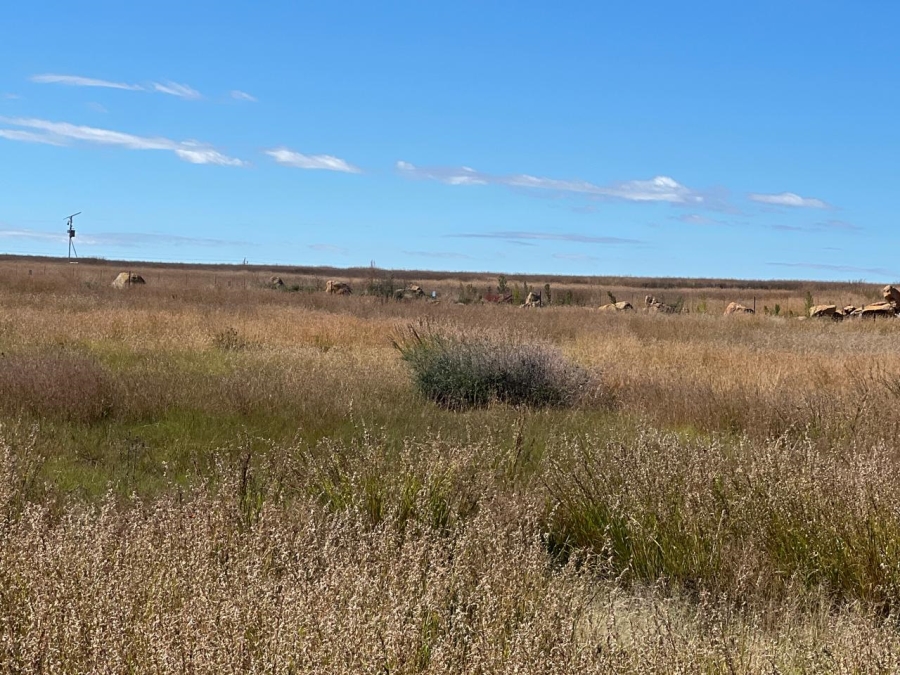 0 Bedroom Property for Sale in Vaal Marina Gauteng