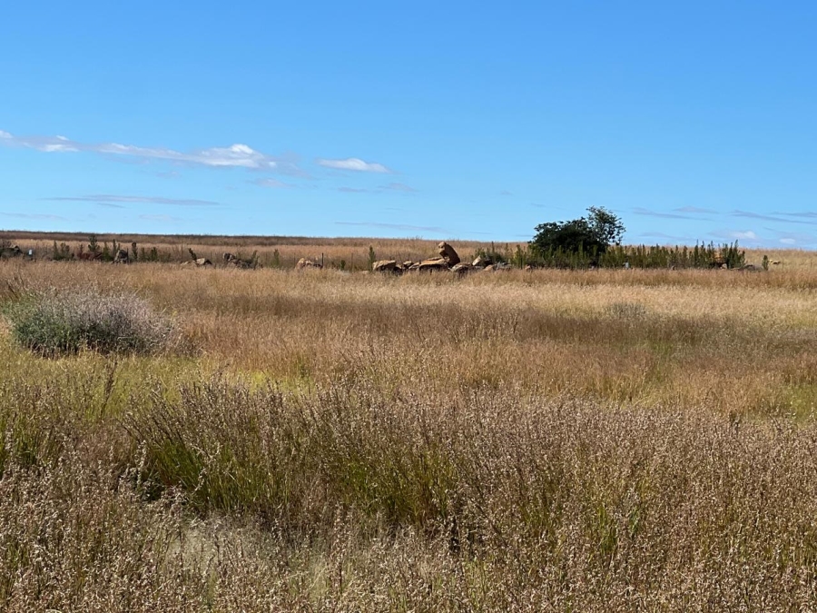 0 Bedroom Property for Sale in Vaal Marina Gauteng
