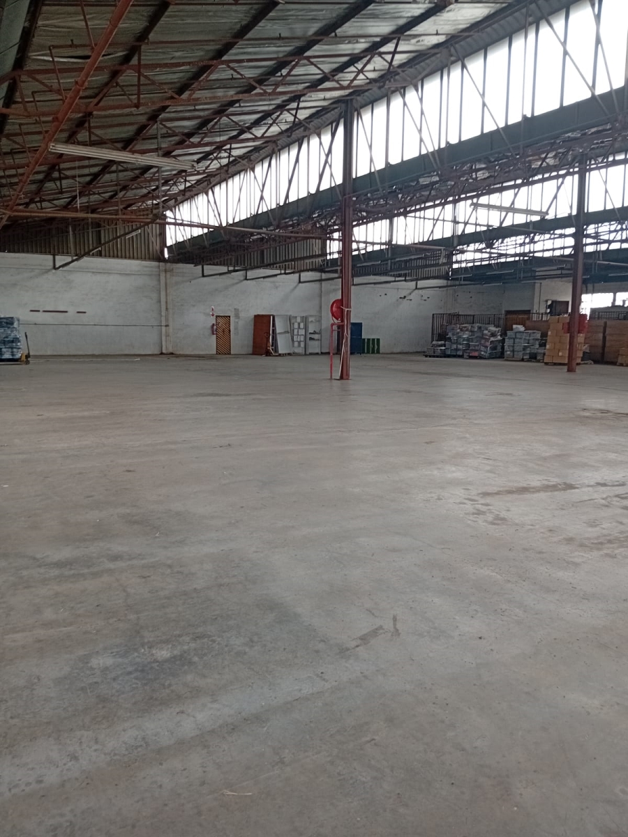 To Let Commercial Property for Rent in Heriotdale Gauteng