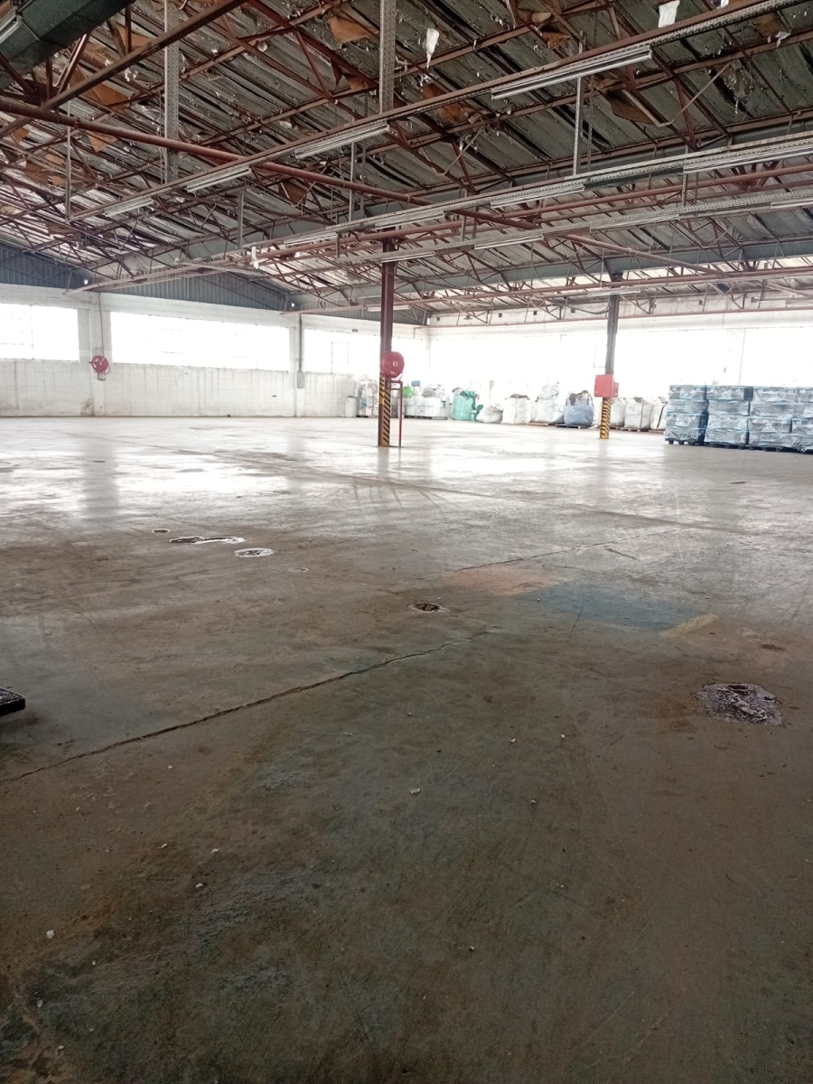 To Let Commercial Property for Rent in Heriotdale Gauteng