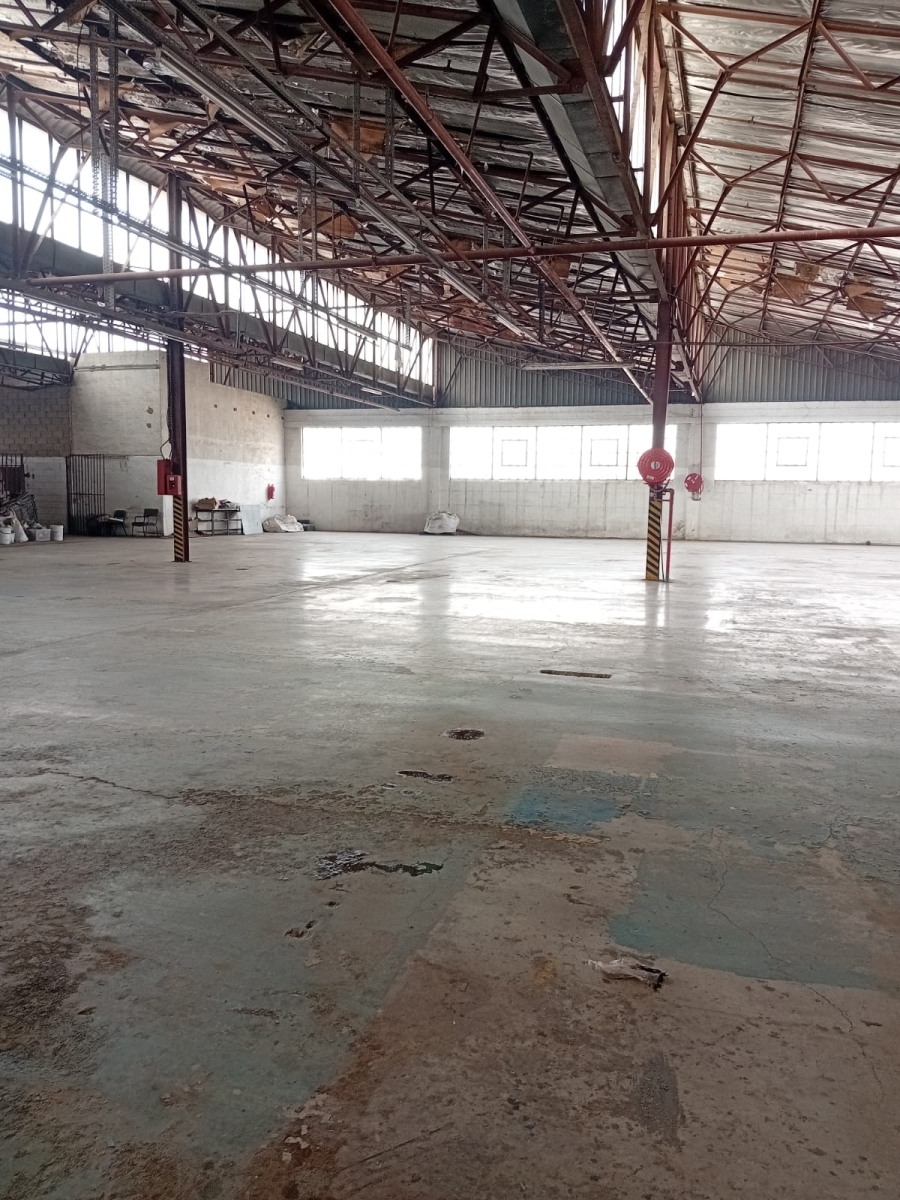 To Let Commercial Property for Rent in Heriotdale Gauteng