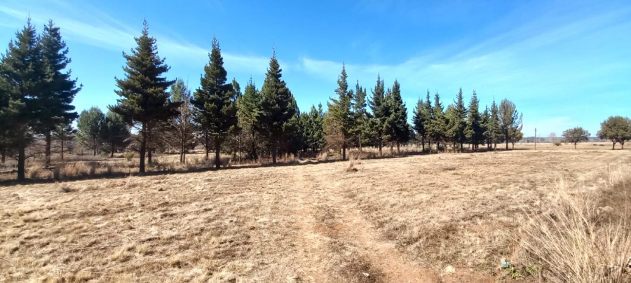 0 Bedroom Property for Sale in Vaalview Gauteng