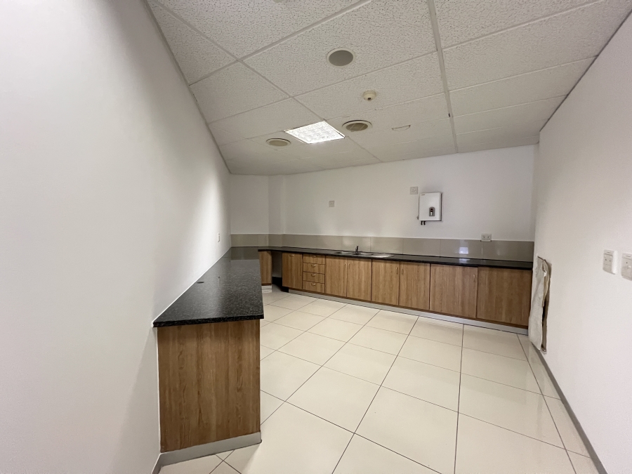 To Let Commercial Property for Rent in Parktown Gauteng