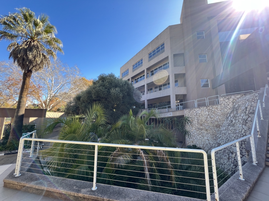 To Let Commercial Property for Rent in Parktown Gauteng