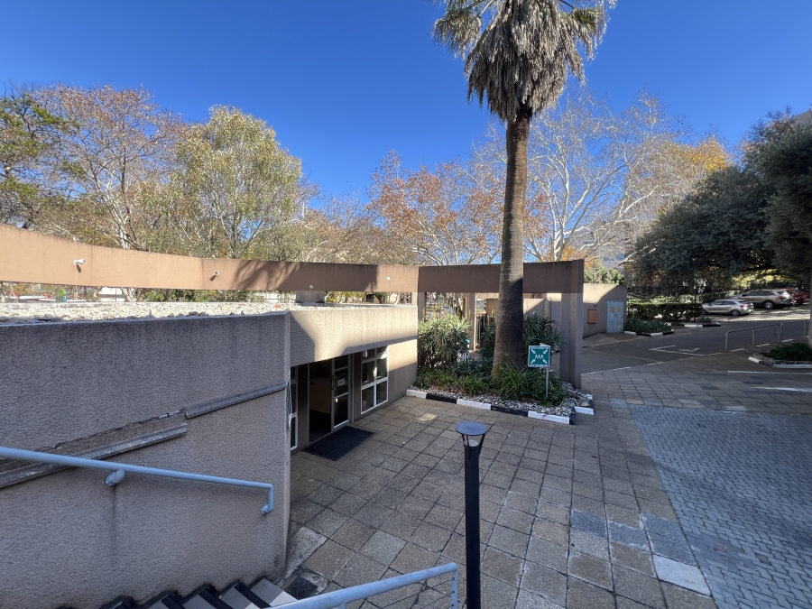 To Let Commercial Property for Rent in Parktown Gauteng