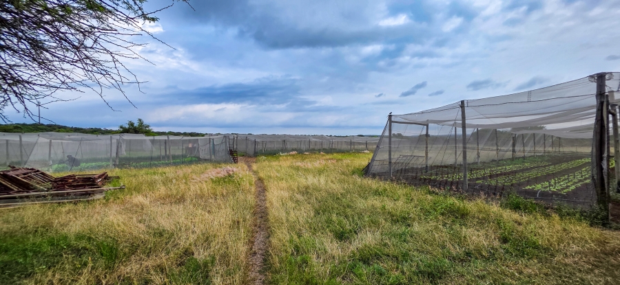 6 Bedroom Property for Sale in Roodeplaat Gauteng