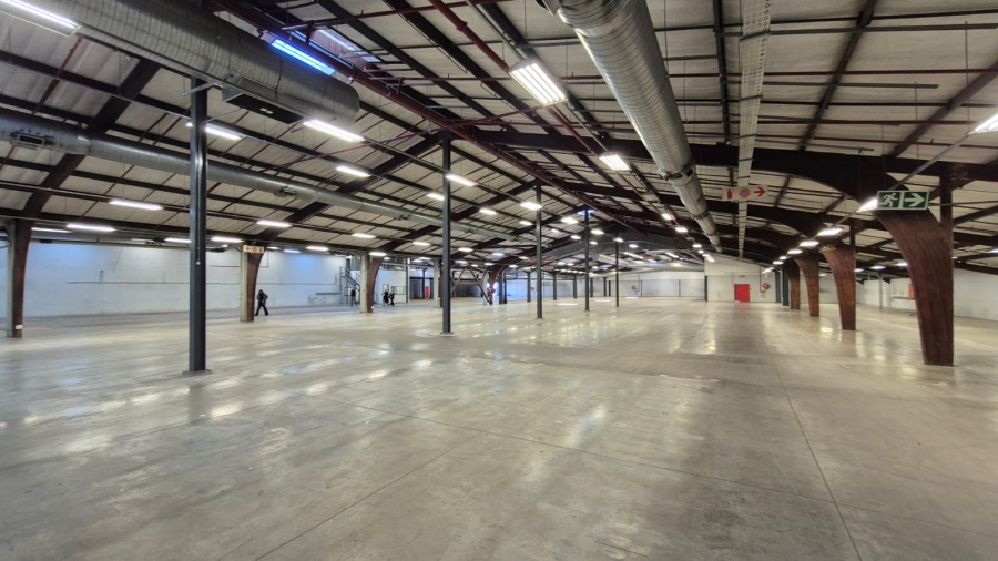 To Let Commercial Property for Rent in Hermanstad Gauteng