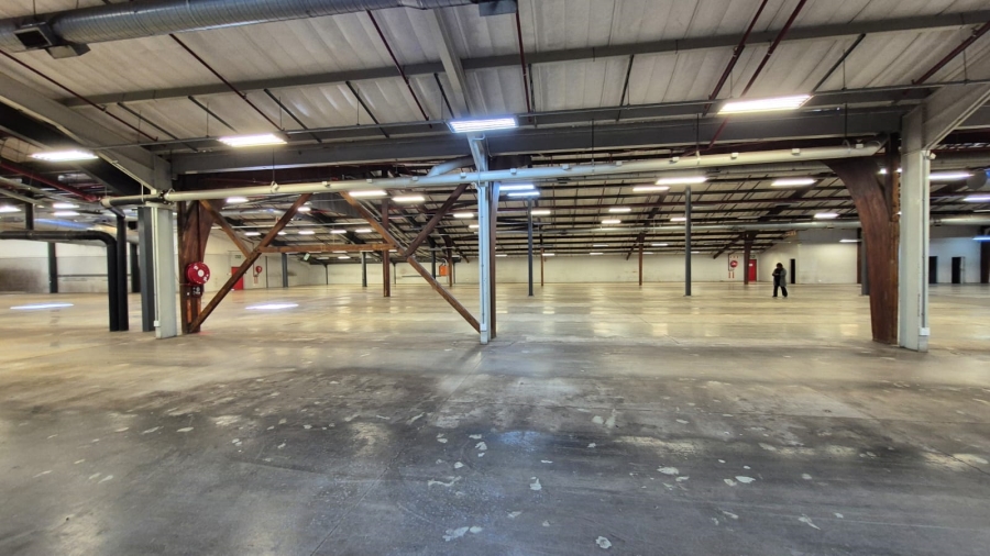 To Let Commercial Property for Rent in Hermanstad Gauteng