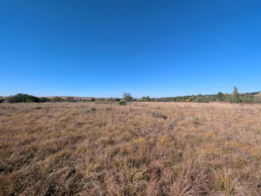 0 Bedroom Property for Sale in Blue Saddle Ranches Gauteng