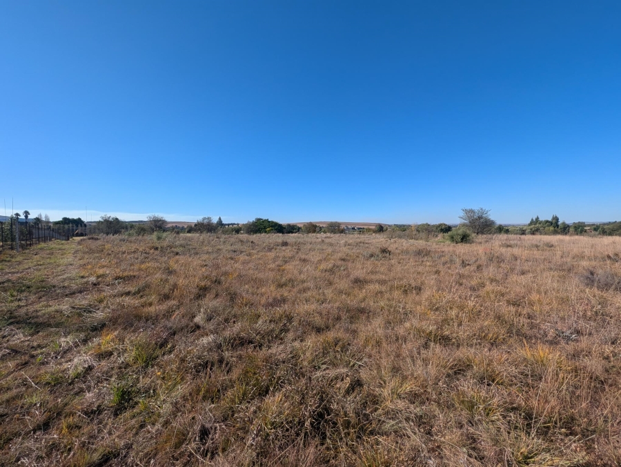 0 Bedroom Property for Sale in Blue Saddle Ranches Gauteng