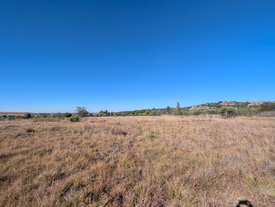 0 Bedroom Property for Sale in Blue Saddle Ranches Gauteng