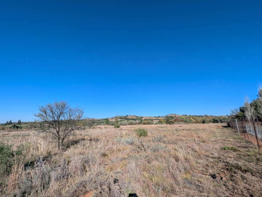 0 Bedroom Property for Sale in Blue Saddle Ranches Gauteng