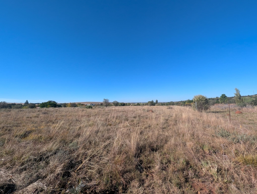 0 Bedroom Property for Sale in Blue Saddle Ranches Gauteng